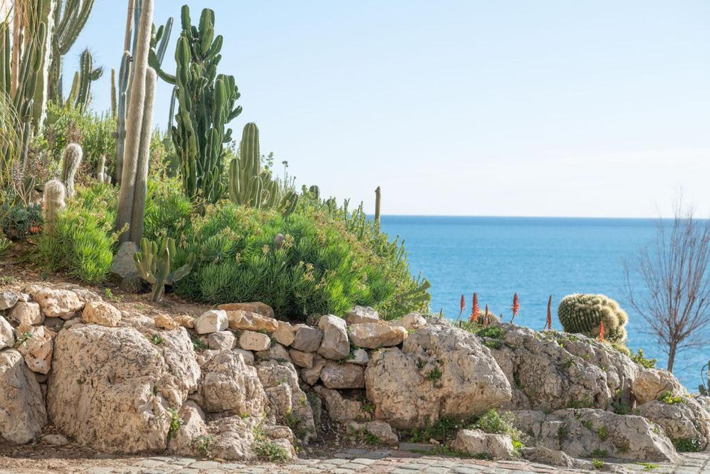 Apartament La Pablita, Vieil Antibes, Remparts Zewnętrze zdjęcie